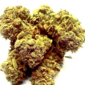 CBD Cannabis Suisse Bio Indoor Green Therapy - E-shop Suisse