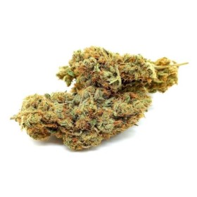 Passion Kush CBD - Cannabis Suisse - e-shop Genève