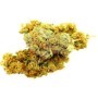 Passion Kush CBD - Cannabis Suisse - e-shop Genève