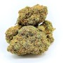Tropical Zkittles - Cannabis CBD Suisse