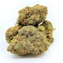 Tropical Zkittles - Cannabis CBD Suisse