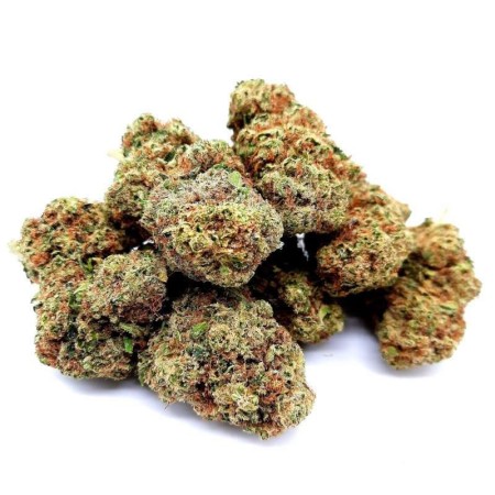 Super Lemon Haze Cannabis CBD Indoor - e-shop Genève