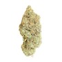 Cannabis CBD Indoor Moonwalker OG