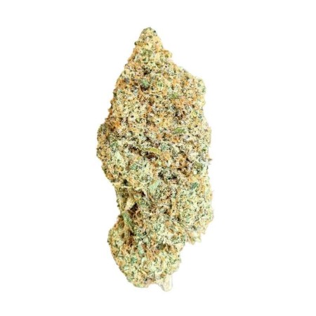 Cannabis CBD Indoor Moonwalker OG
