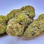 Wonderhaze Cannabis CBD Indoor 100% naturelle et Suisse