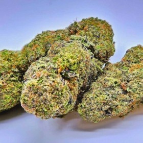 Wonderhaze Cannabis CBD Indoor 100% naturelle et Suisse