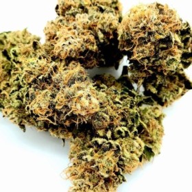 Mazar 1 Cannabis CBD Indoor 100% naturelle Made in NAG