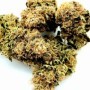 Mazar 1 Cannabis CBD Indoor 100% naturelle Made in NAG