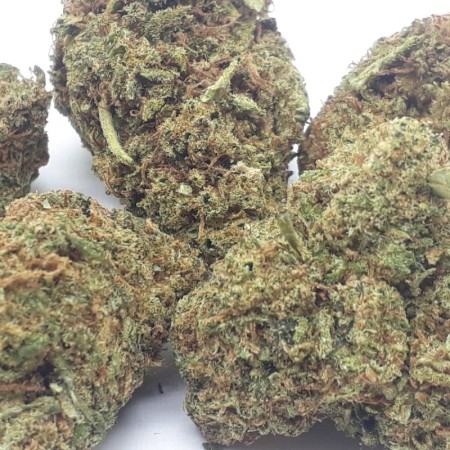 Fleur CBD greenhouse fruitée aux notes d'agrumes - E-shop Suisse