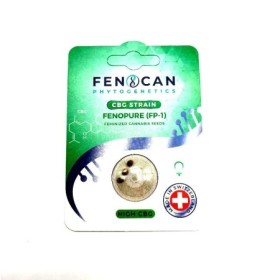 CBG Fenopure Graines de Cannabis CBG Féminisée - Magasin e-shop Genève