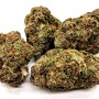 Purple Harlequin Fleur de CBD Indoor - E-shop Suisse