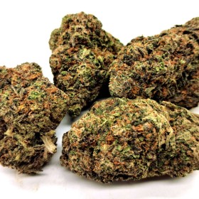 Purple Harlequin Fleur de CBD Indoor - E-shop Suisse