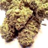 CBD Green Therapy Cannabis...