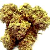 CBD Green Therapy Cannabis...