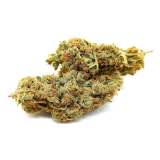 CBD Tangerine Passion...