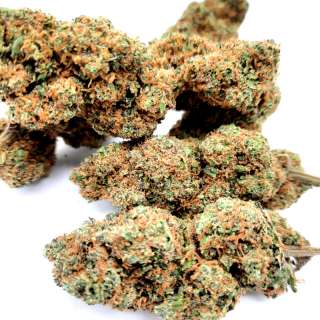 CBD Blueberry Cannabis Indoor