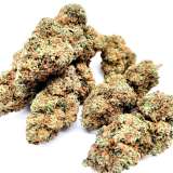 CBD Blueberry Cannabis Indoor