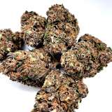 CBD PURPLE HARLEQUIN...
