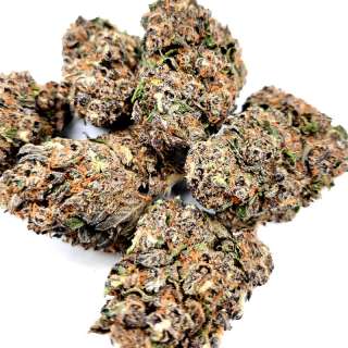 CBD PURPLE HARLEQUIN...