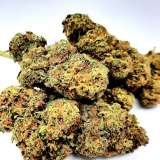 Orangello Cannabis CBD Indoor