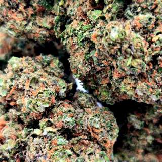 PLUSH BERRY CANNABIS CBD