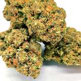 PLUSH BERRY CANNABIS CBD