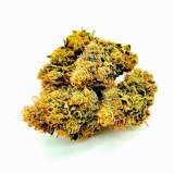 MAZAR 1 CANNABIS CBD